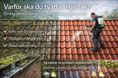 Rengöring av tegeltak från mossa och alger
