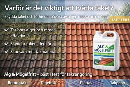 Takpannor som rengörs från mossa och alger.